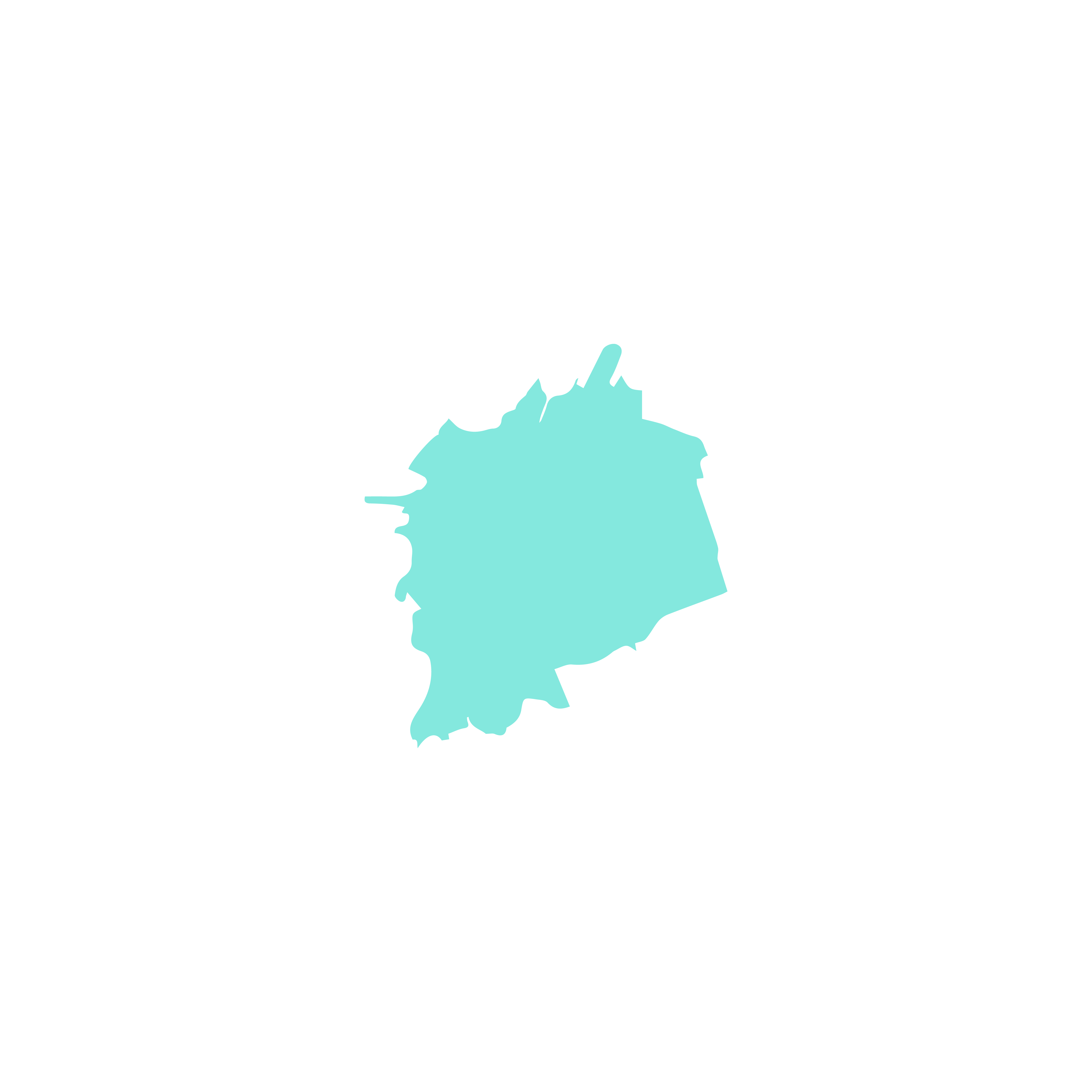 Saltillo